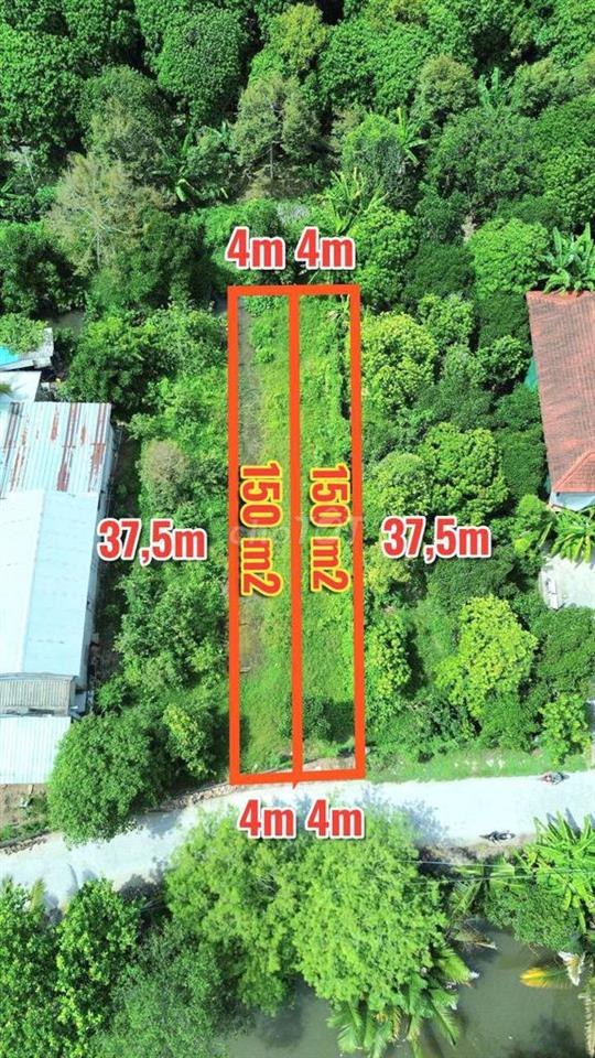 NỀN GIÁ RẺ GẦN CHỢ BÔNG VANG
