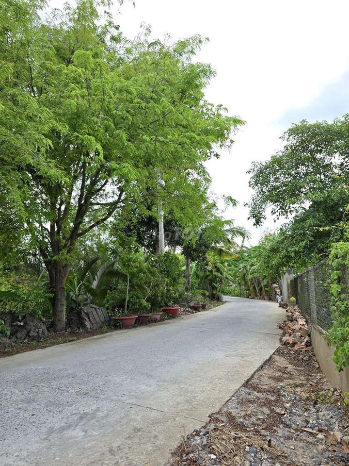 NỀN GIÁ RẺ GẦN CHỢ BÔNG VANG