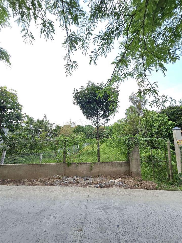 NỀN GIÁ RẺ GẦN CHỢ BÔNG VANG