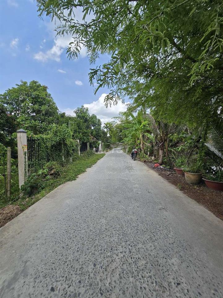 NỀN GIÁ RẺ GẦN CHỢ BÔNG VANG