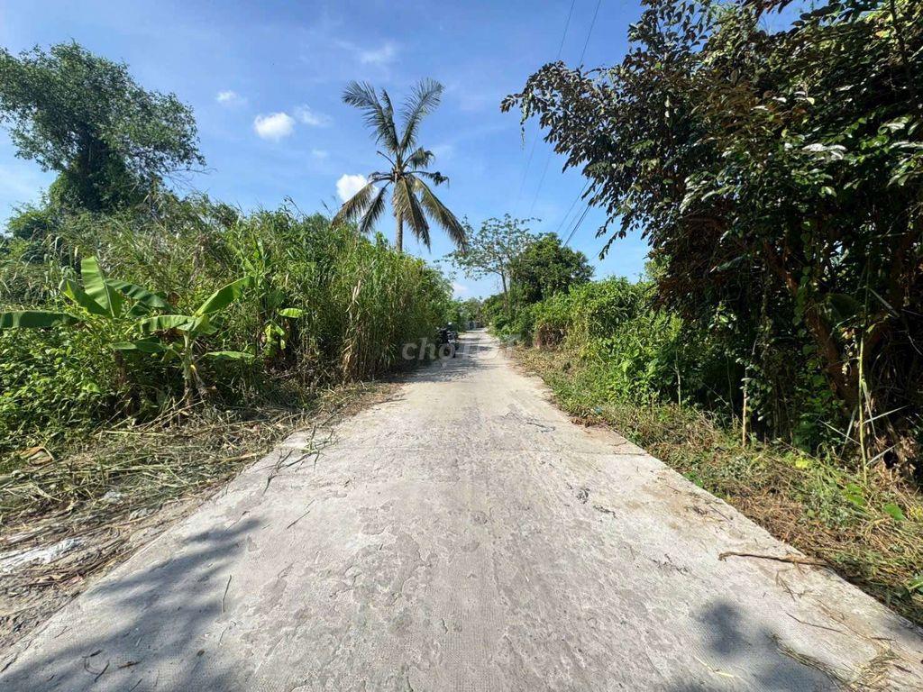 NỀN GIÁ RẺ PHONG ĐIỀN GẦN CHỢ GIAI XUÂN