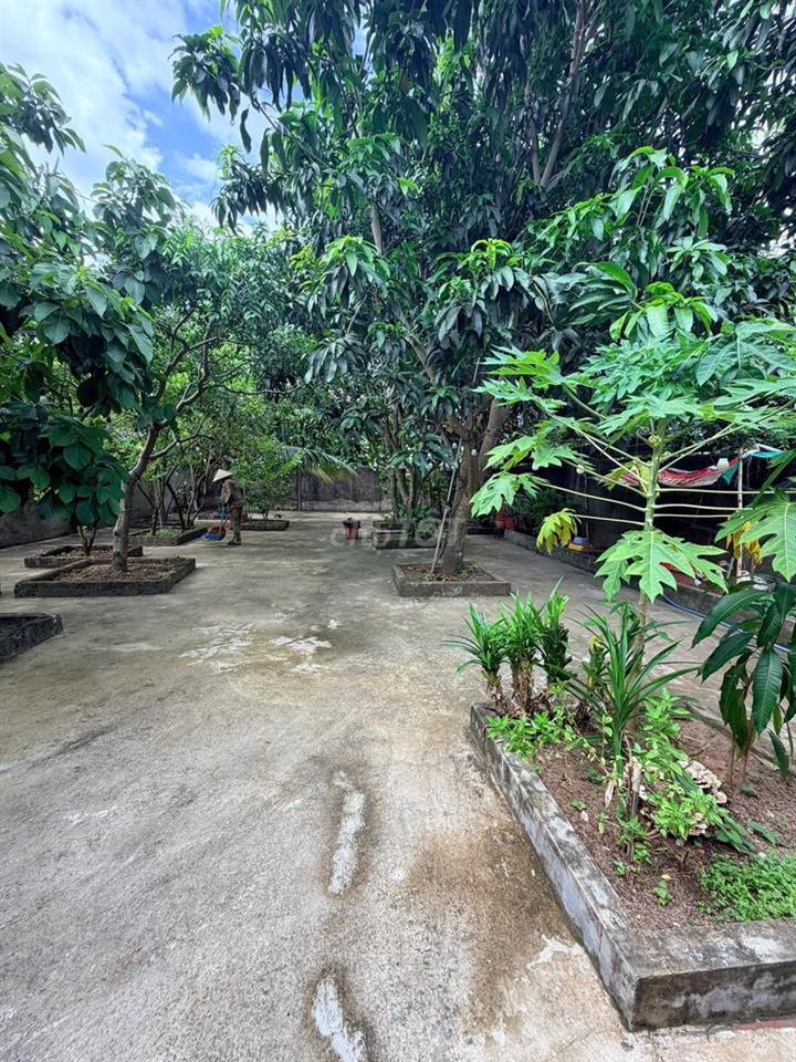 BĐS sân vườn cao cấp ngay trung tâm TP. Cần Thơ – 540 m², giá 9,8 tỷ