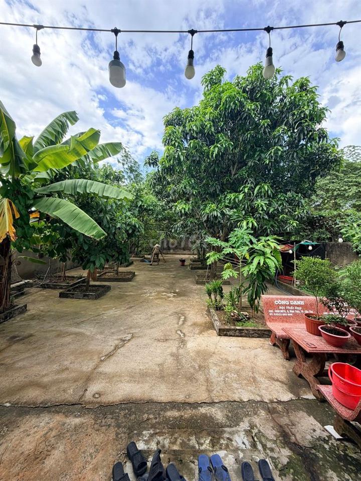 BĐS sân vườn cao cấp ngay trung tâm TP. Cần Thơ – 540 m², giá 9,8 tỷ