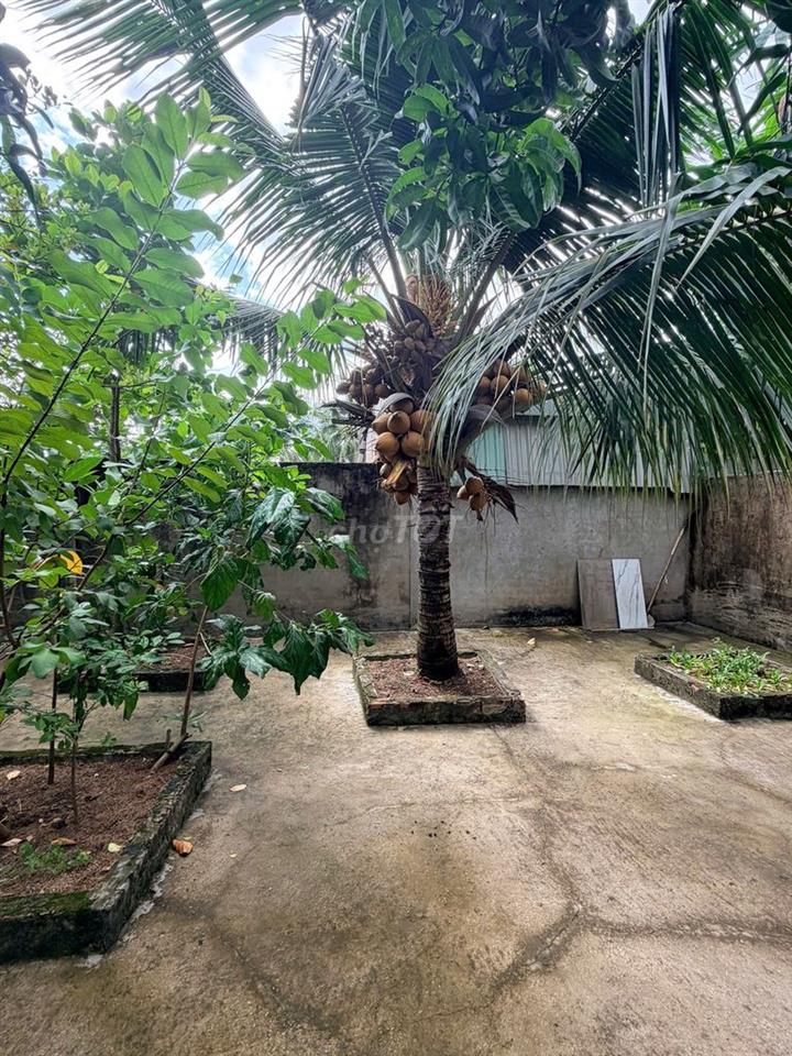 BĐS sân vườn cao cấp ngay trung tâm TP. Cần Thơ – 540 m², giá 9,8 tỷ