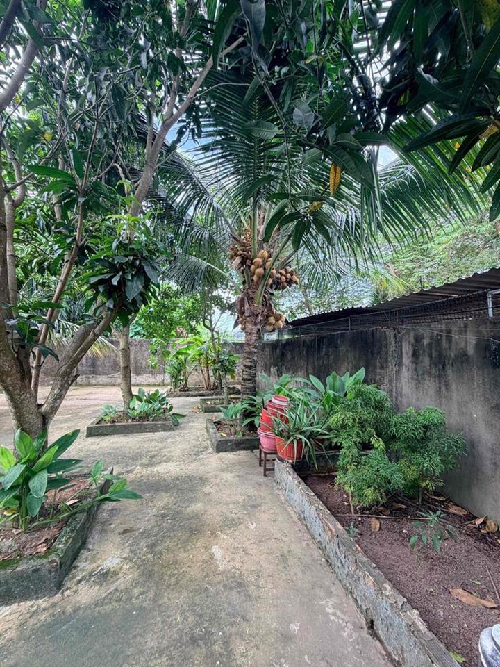 CHÍNH CHỦ BÁN NHÀ SÂN VƯỜN – 540M², TRUNG TÂM CẦN THƠ