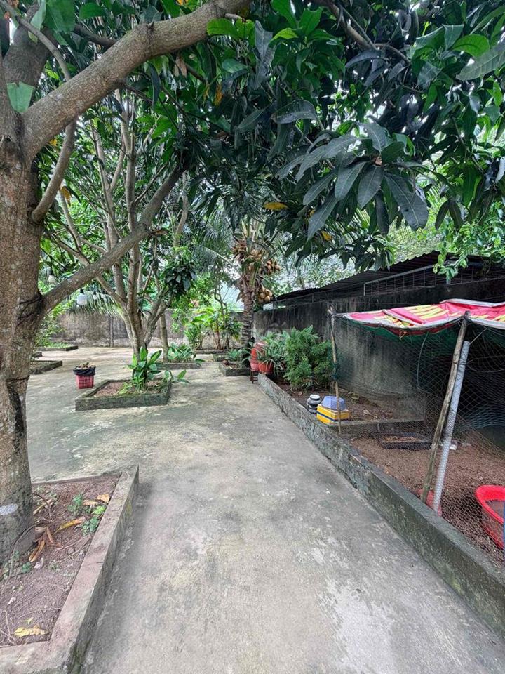 CHÍNH CHỦ BÁN NHÀ SÂN VƯỜN – 540M², TRUNG TÂM CẦN THƠ