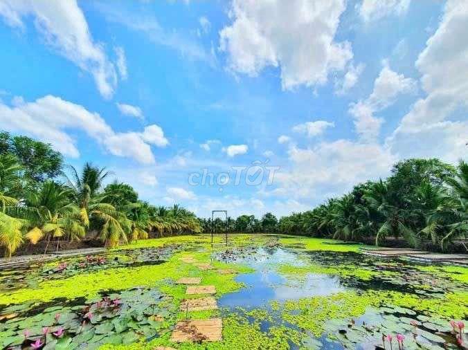 Cho thuê đất (làng bè du lịch cũ)