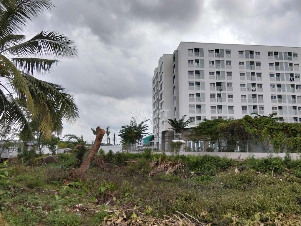 Đất đẹp hiếm có