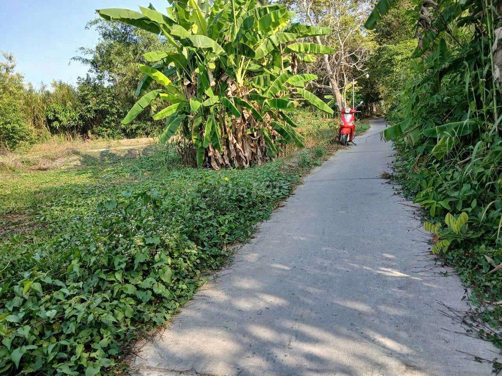 Đất đẹp hiếm có