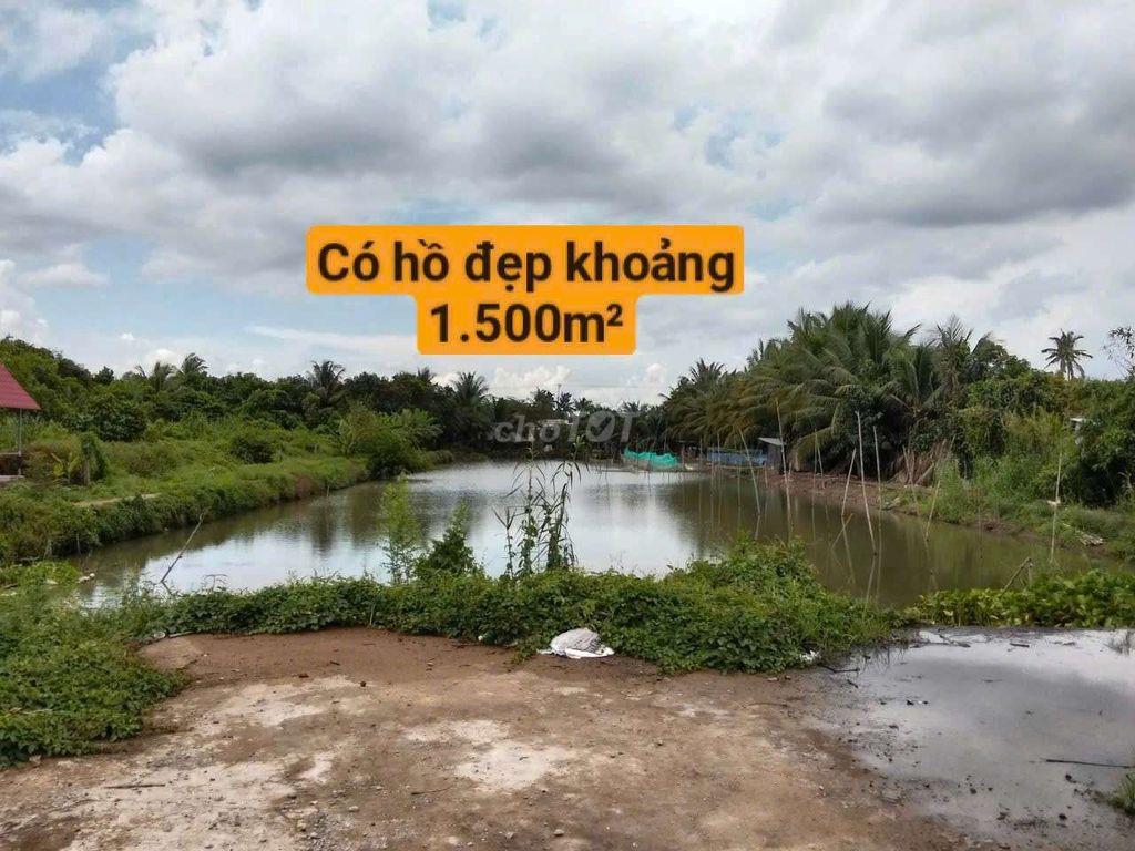 Đất đẹp hiếm có
