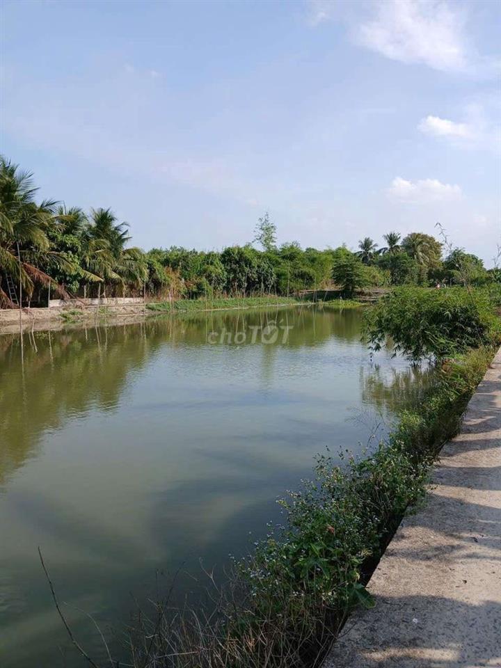 Đất đẹp hiếm có
