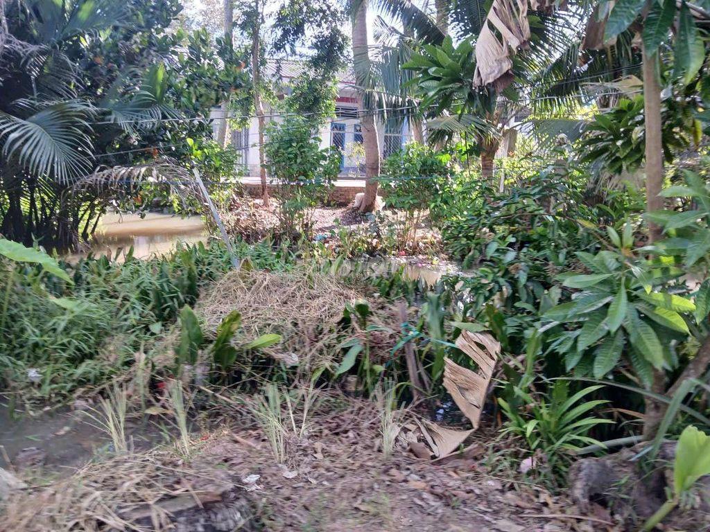Nền gần trường tiểu học, sát chợ