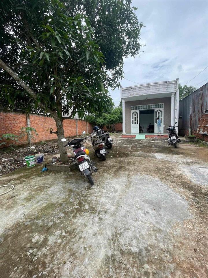 Nhà sân vườn 6x40 đường Nguyễn Văn Trường