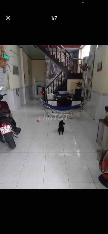 cho thuê nhà hẻm 5 mậu thân