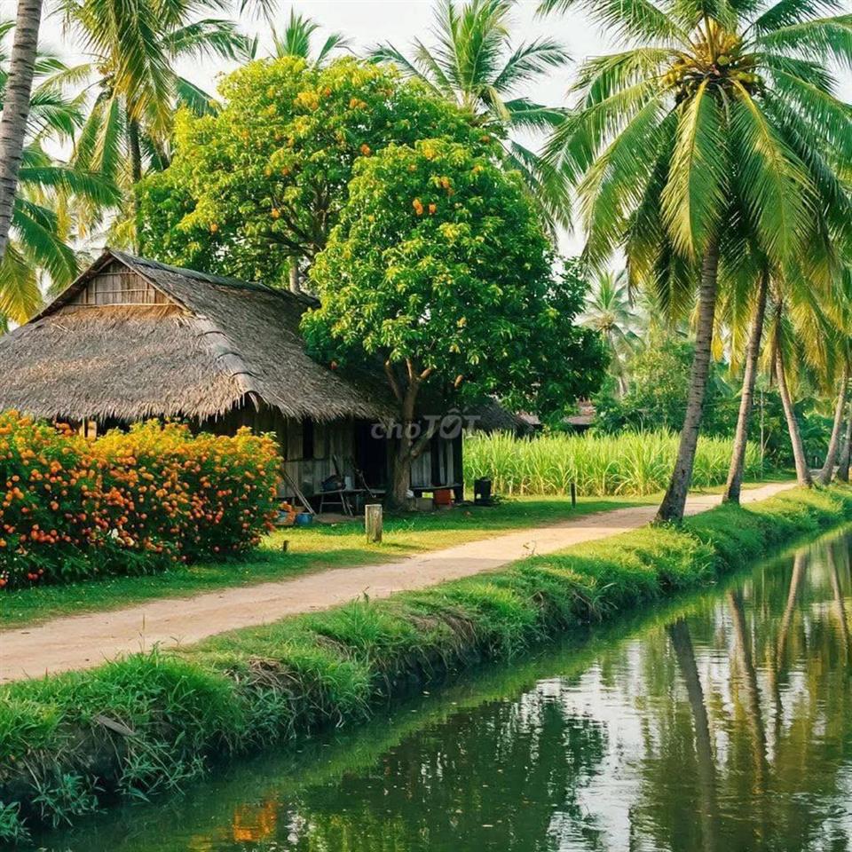 MT LỘ NHỰA LIÊN XÃ ẤP PHÚ YÊN - PHÚ LONG -TÂN PHÚ TAM BÌNH - VL 