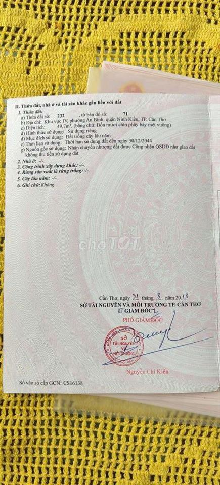Cần Bán Gấp