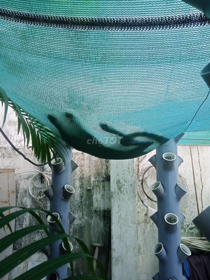 Đất nền đối diện Đền Hùng