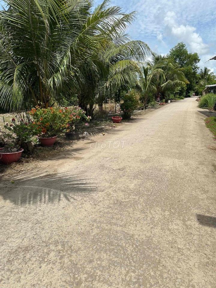 cần bán đất