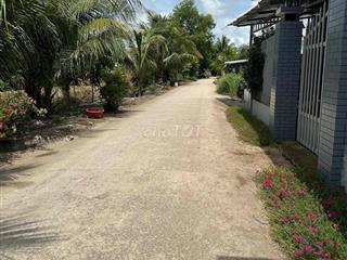 cần bán đất