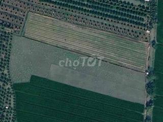 đất công khu vực định môn