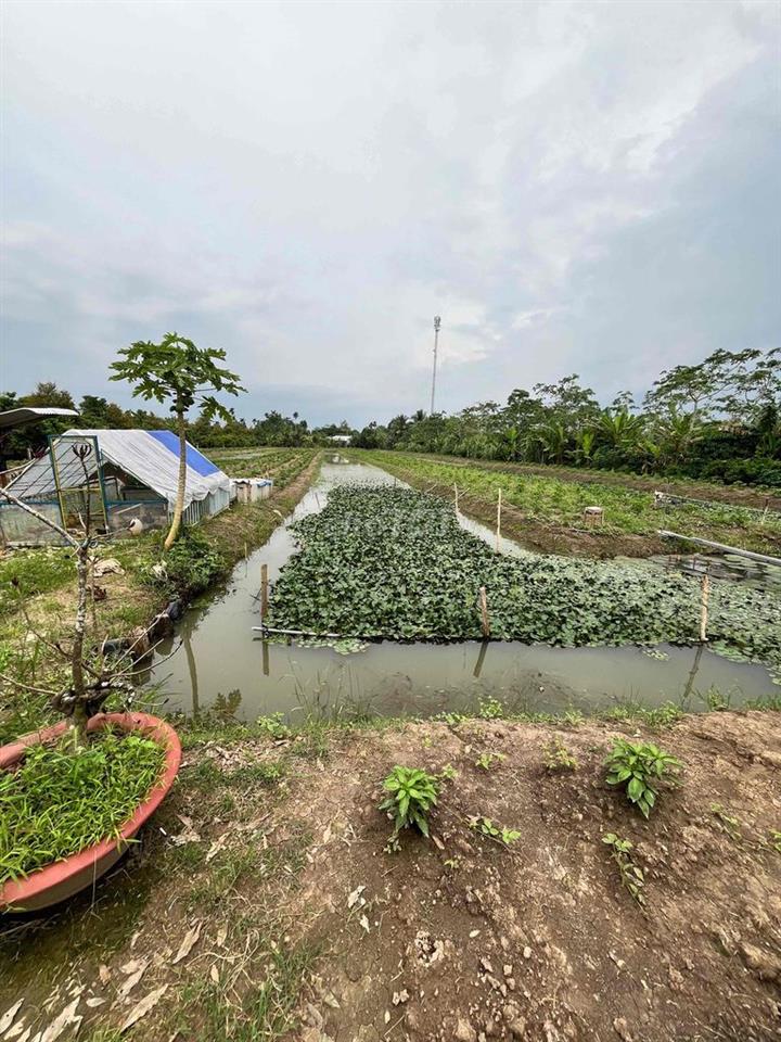 ĐẤT ĐẸP BÁN NHANH
