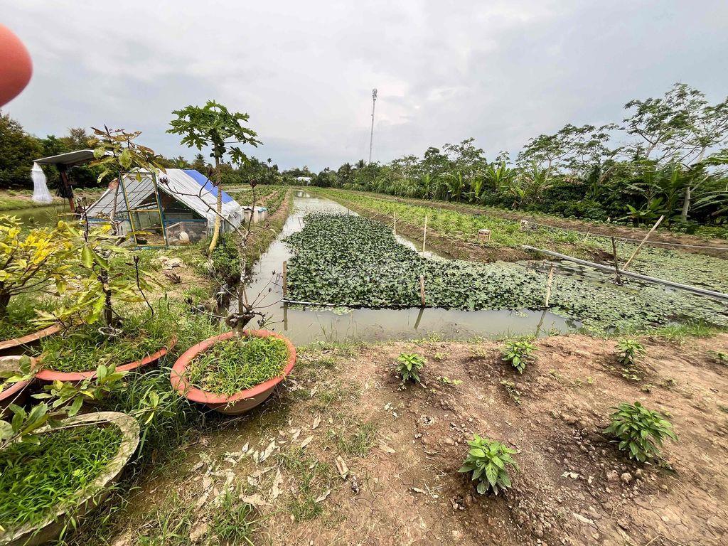 ĐẤT ĐẸP BÁN NHANH