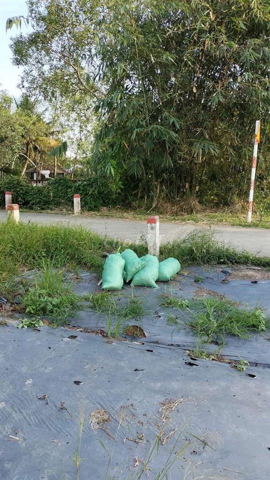 Bán đất kv thới bình phường Thới An Đông giáp ranh Long Hòa lộ ô tô 4m