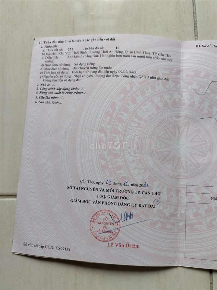 Bán đất kv thới bình phường Thới An Đông giáp ranh Long Hòa lộ ô tô 4m