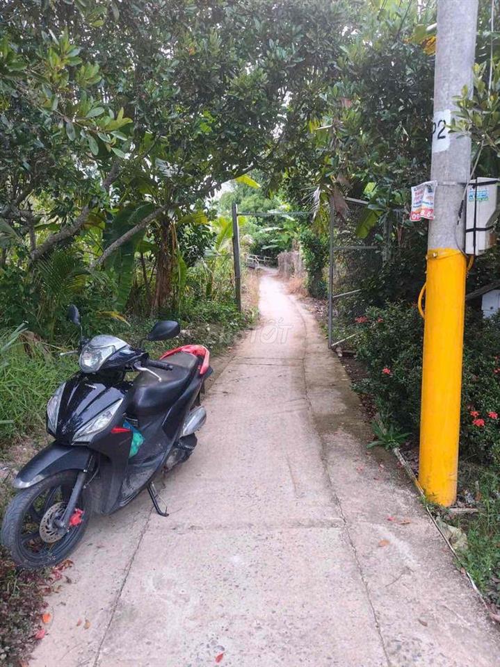 cần bán !