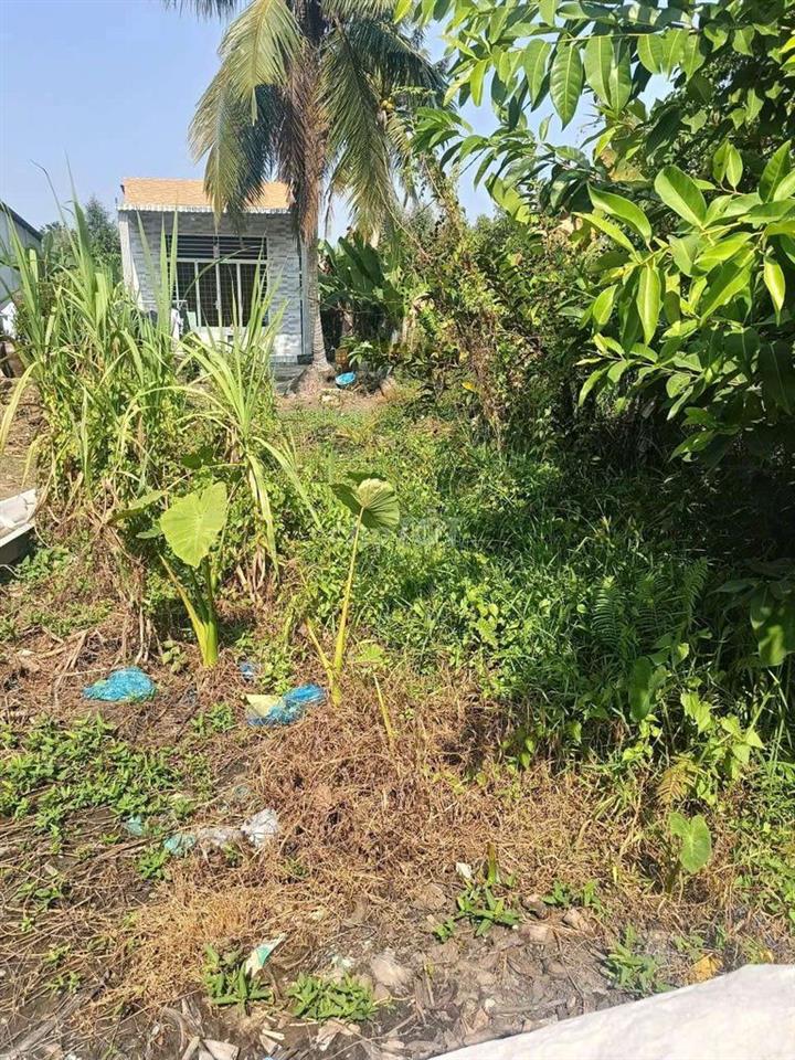 đất nênd