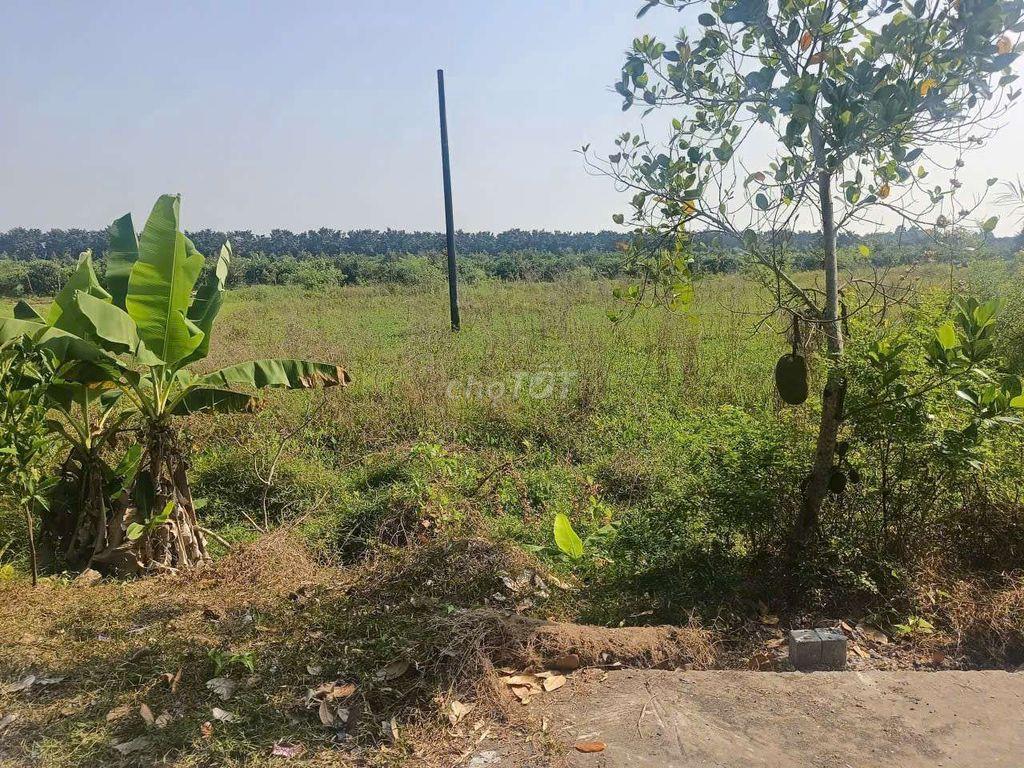 đất nền rộng Trường Long