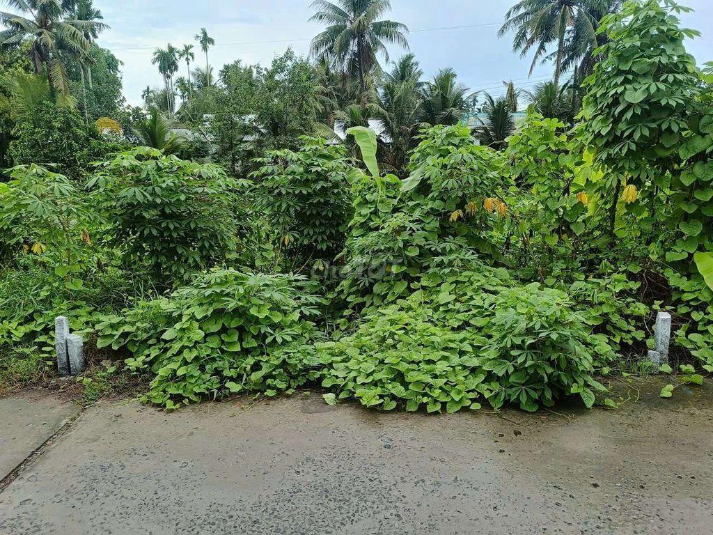 đất nền thổ cư