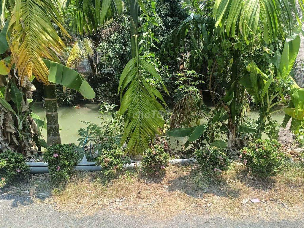 đất nền biệt thự