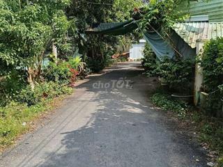 đất nền biệt thự