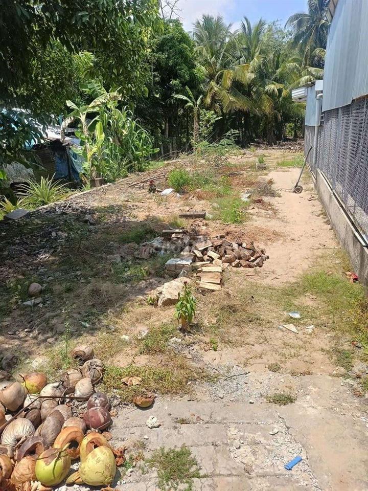 đất nền biệt thự