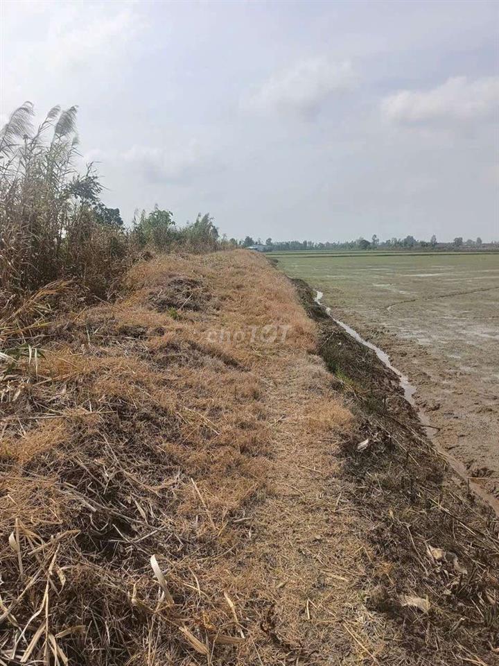 bán một công đất