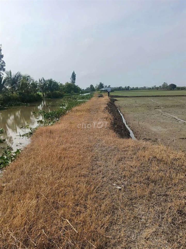 bán một công đất