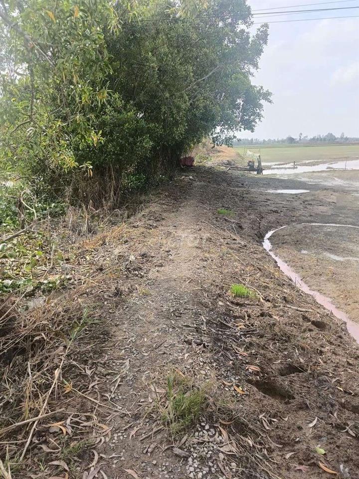 bán một công đất