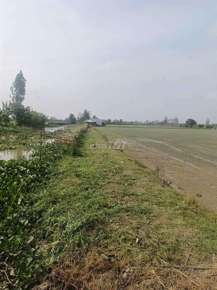 bán một công đất