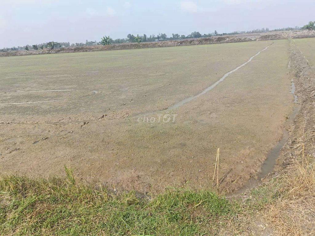 bán một công đất