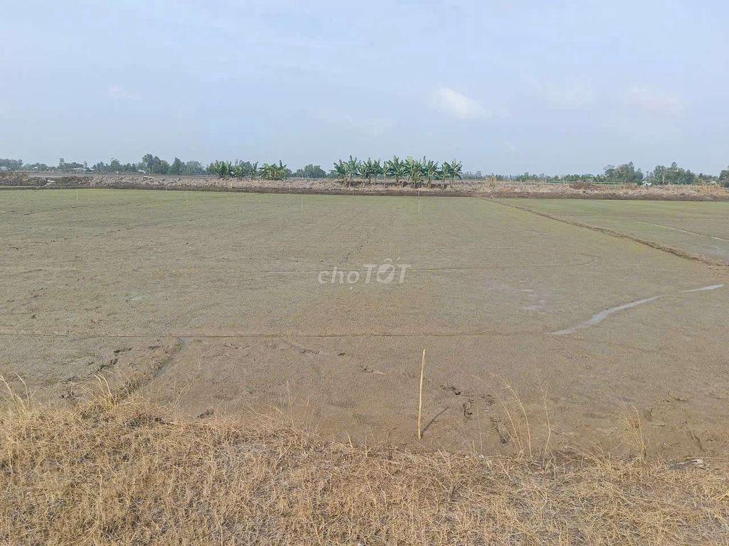 bán một công đất