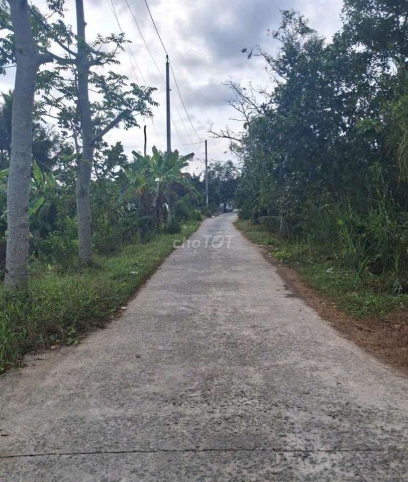 đất nền giá rẻ