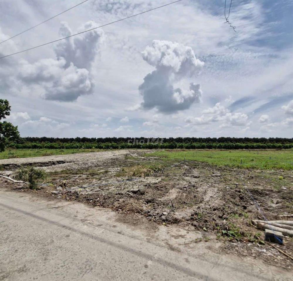 đất nền giá rẻ