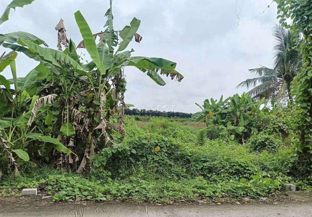 đất nền giá rẻ