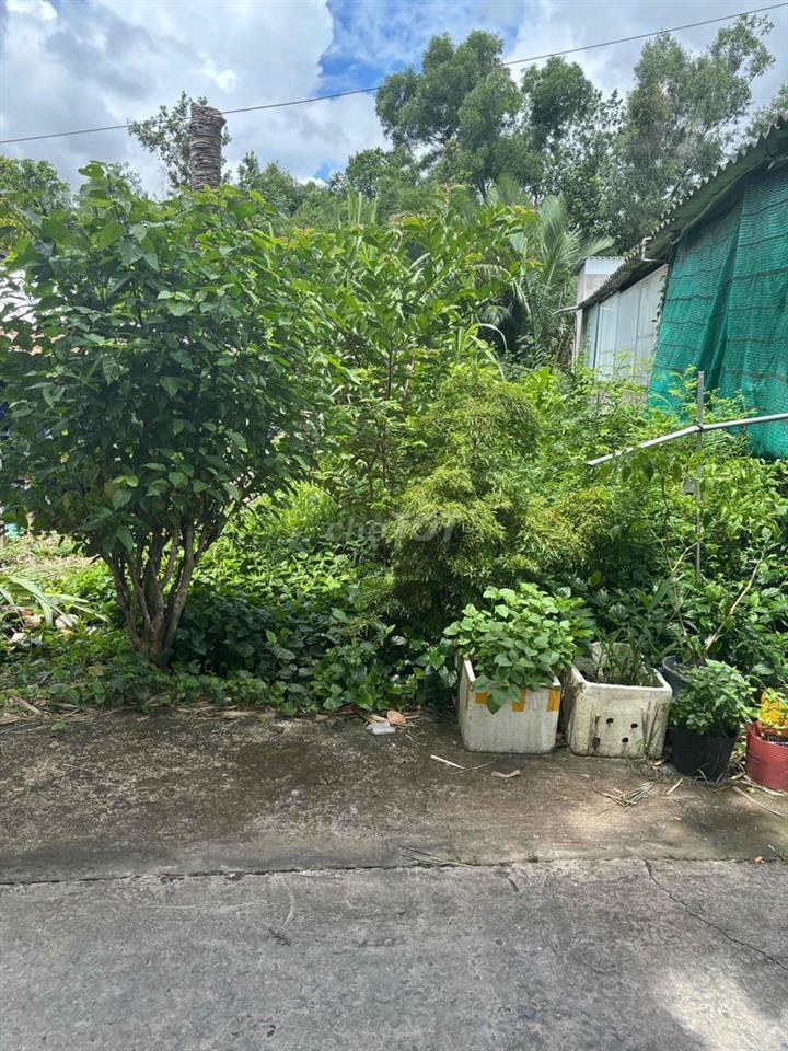 Do nhu cầu phát triển công việc. Gia đình em cần bán đất nền. Dài 40 ×