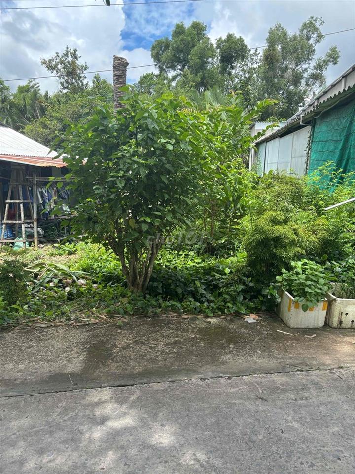 Do nhu cầu phát triển công việc. Gia đình em cần bán đất nền. Dài 40 ×