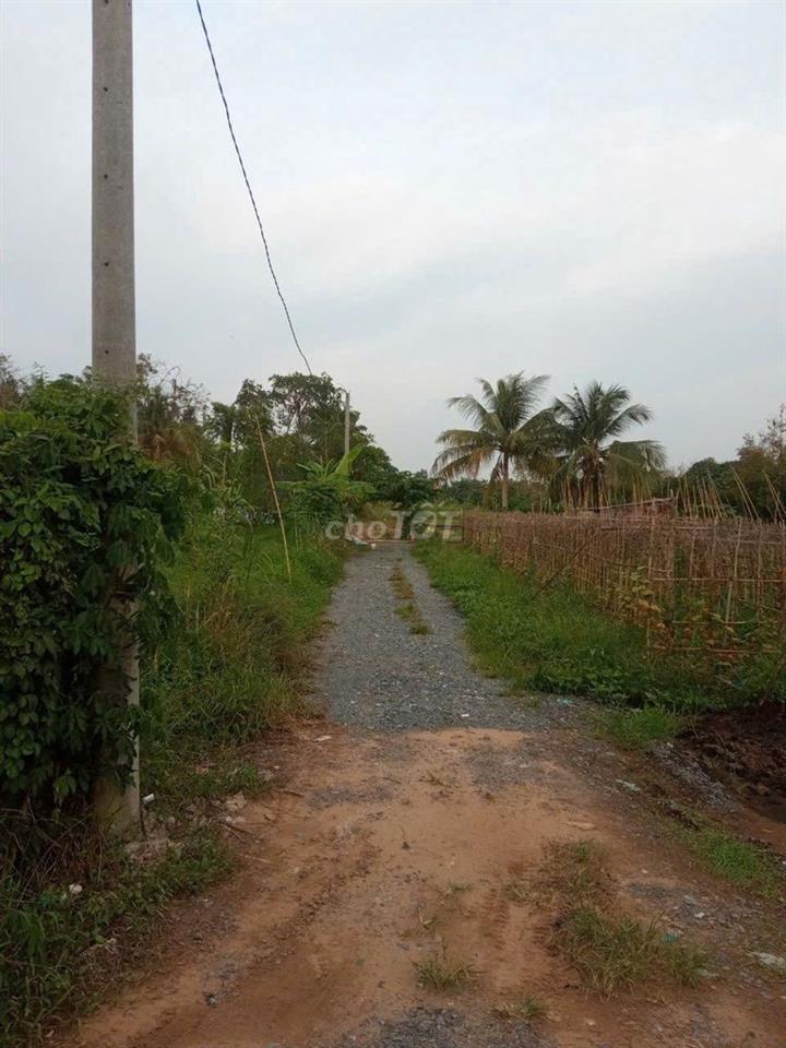 Bán đất 6m x 25m (CLN)
