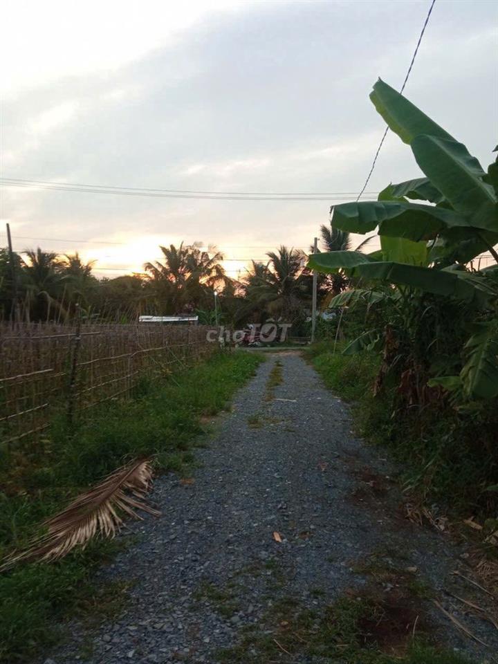 Bán đất 6m x 25m (CLN)
