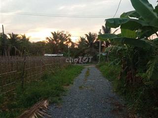 Bán đất 6m x 25m (CLN)