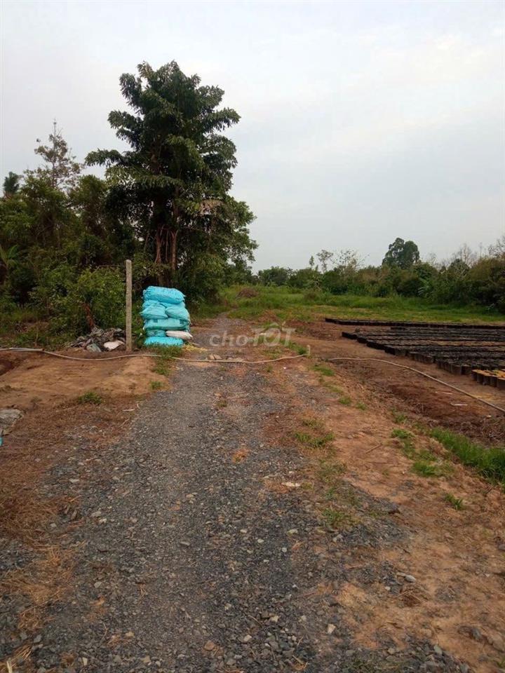 Bán đất 6m x 25m (CLN)
